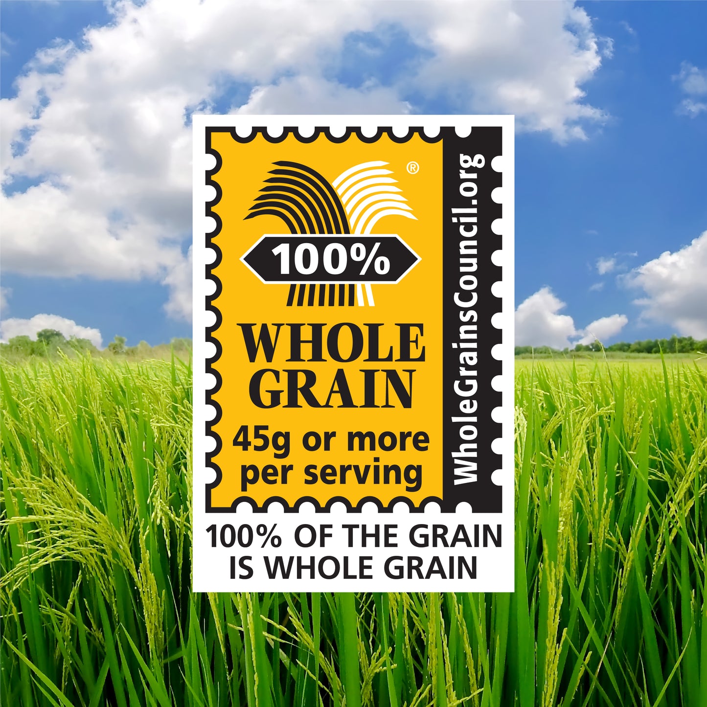 SmartRice - Long Grain White Rice, Gluten-Free, Non-GMO, Grown in the USA, 2lbs